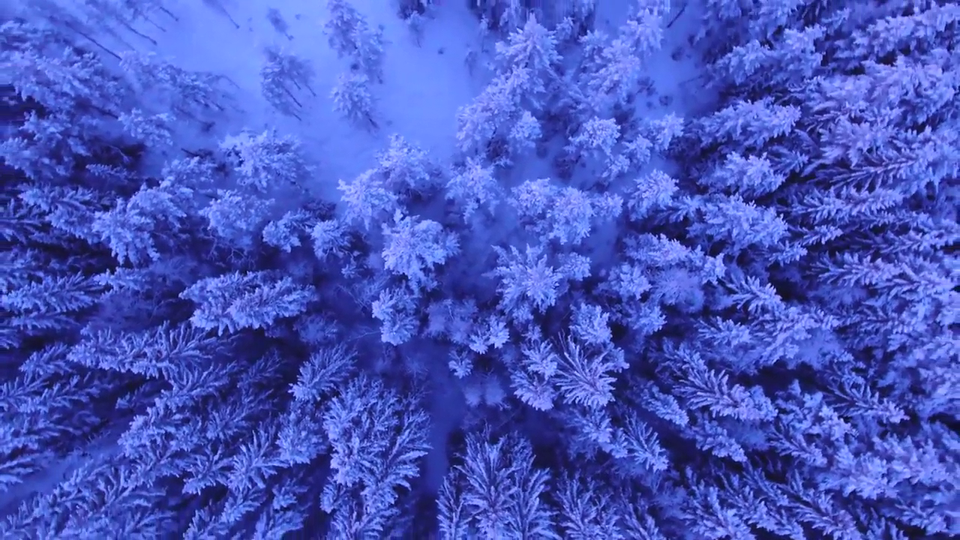 Seasons of a wandering heart